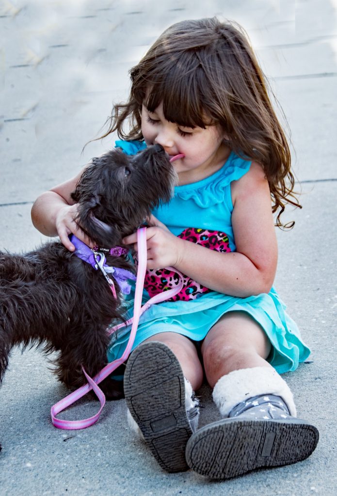 This Simple Trick Stops Your Dog Licking You